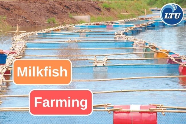 Milkfish Farming Overview